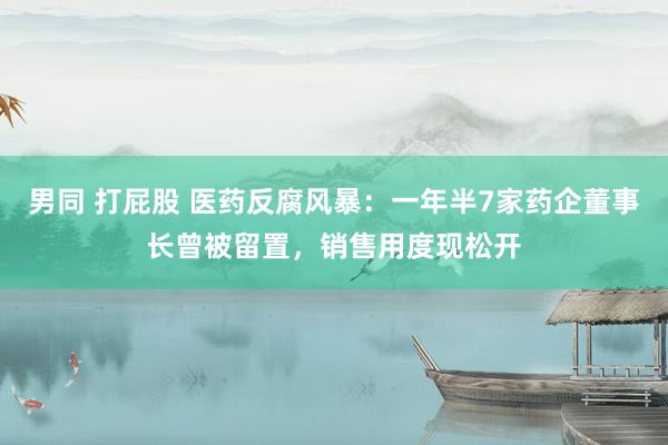 男同 打屁股 医药反腐风暴：一年半7家药企董事长曾被留置，销售用度现松开