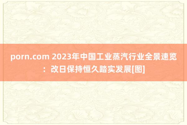 porn.com 2023年中国工业蒸汽行业全景速览：改日保持恒久踏实发展[图]