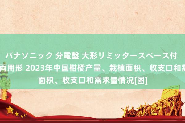 パナソニック 分電盤 大形リミッタースペース付 露出・半埋込両用形 2023年中国柑橘产量、栽植面积、收支口和需求量情况[图]