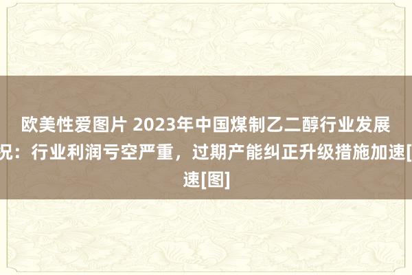 欧美性爱图片 2023年中国煤制乙二醇行业发展近况：行业利润亏空严重，过期产能纠正升级措施加速[图]