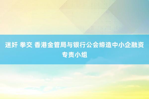 迷奸 拳交 香港金管局与银行公会缔造中小企融资专责小组