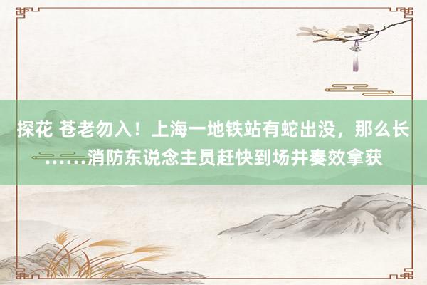 探花 苍老勿入！上海一地铁站有蛇出没，那么长……消防东说念主员赶快到场并奏效拿获