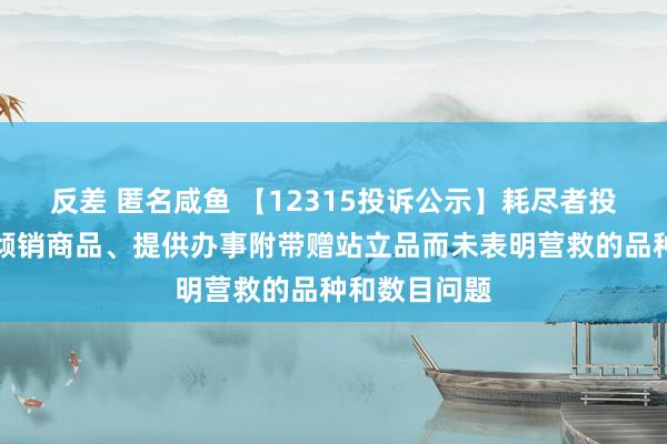 反差 匿名咸鱼 【12315投诉公示】耗尽者投诉闲逸汽车倾销商品、提供办事附带赠站立品而未表明营救的品种和数目问题