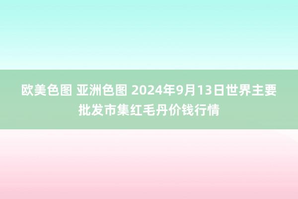 欧美色图 亚洲色图 2024年9月13日世界主要批发市集红毛丹价钱行情