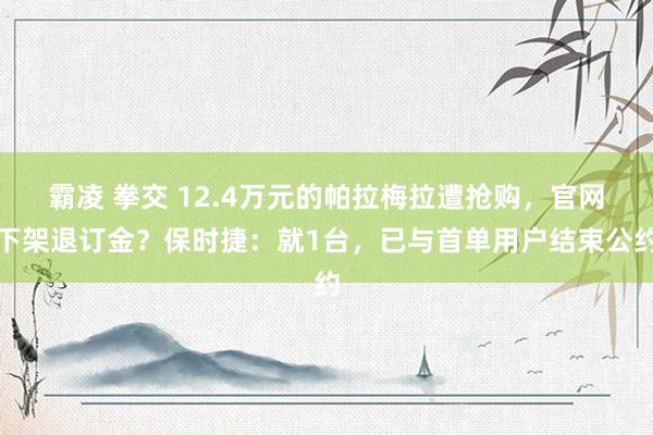 霸凌 拳交 12.4万元的帕拉梅拉遭抢购，官网下架退订金？保时捷：就1台，已与首单用户结束公约