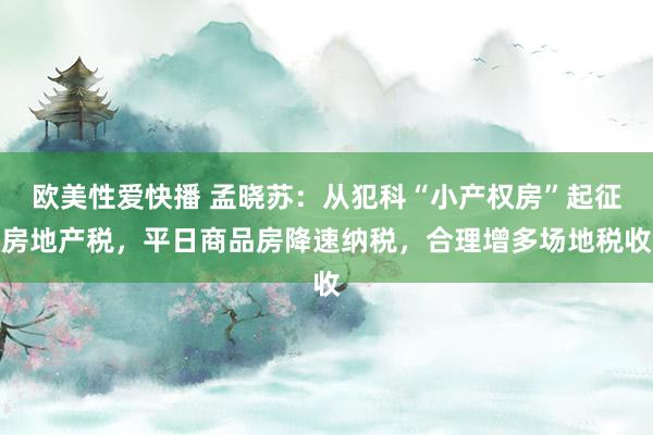 欧美性爱快播 孟晓苏：从犯科“小产权房”起征房地产税，平日商品房降速纳税，合理增多场地税收