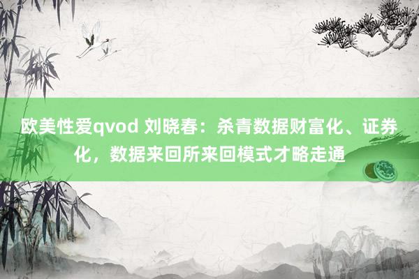 欧美性爱qvod 刘晓春：杀青数据财富化、证券化，数据来回所来回模式才略走通