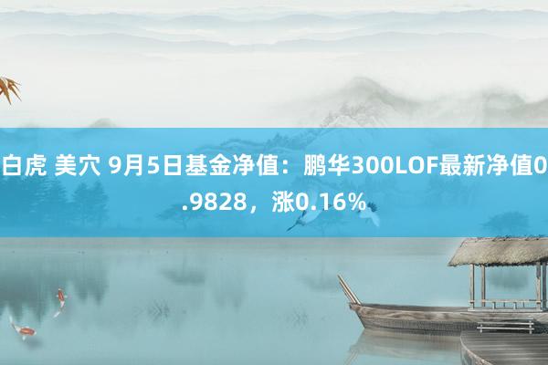 白虎 美穴 9月5日基金净值：鹏华300LOF最新净值0.9828，涨0.16%