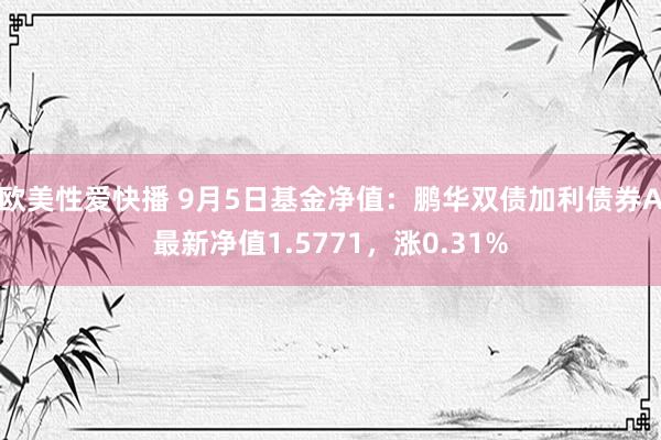 欧美性爱快播 9月5日基金净值：鹏华双债加利债券A最新净值1.5771，涨0.31%