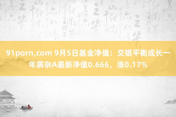 91porn，com 9月5日基金净值：交银平衡成长一年羼杂A最新净值0.666，涨0.17%