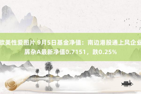 欧美性爱图片 9月5日基金净值：南边港股通上风企业羼杂A最新净值0.7151，跌0.25%