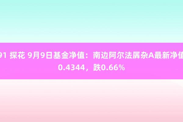 91 探花 9月9日基金净值：南边阿尔法羼杂A最新净值0.4344，跌0.66%