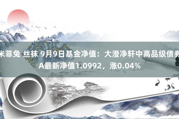 米菲兔 丝袜 9月9日基金净值：大澄净轩中高品级债券A最新净值1.0992，涨0.04%