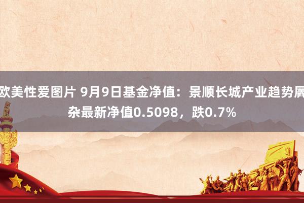 欧美性爱图片 9月9日基金净值：景顺长城产业趋势羼杂最新净值0.5098，跌0.7%