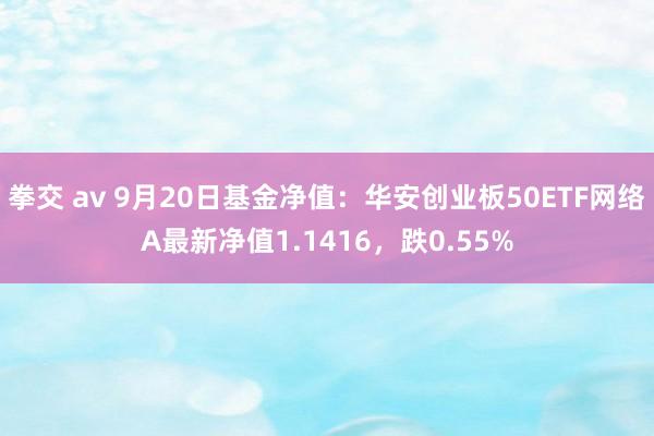 拳交 av 9月20日基金净值：华安创业板50ETF网络A最新净值1.1416，跌0.55%