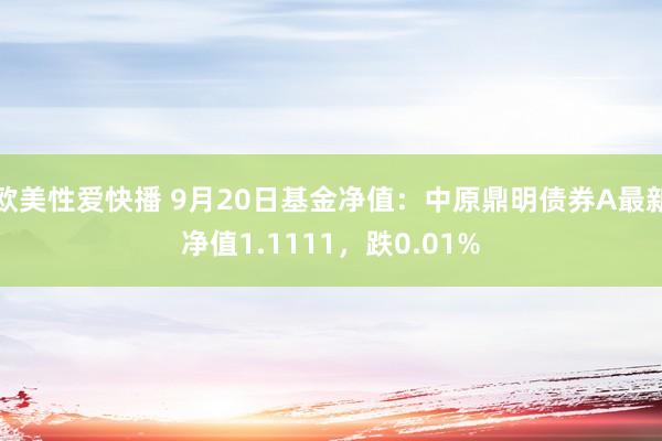 欧美性爱快播 9月20日基金净值：中原鼎明债券A最新净值1.1111，跌0.01%