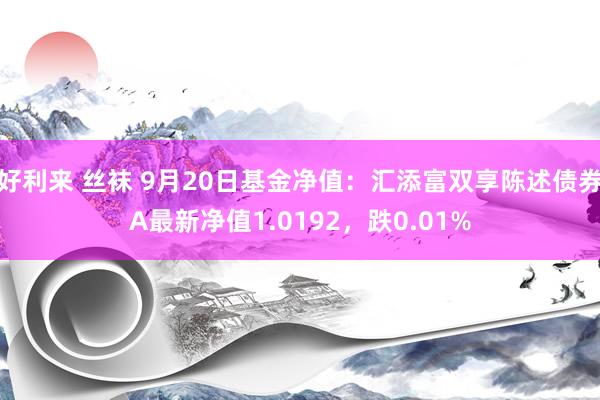 好利来 丝袜 9月20日基金净值：汇添富双享陈述债券A最新净值1.0192，跌0.01%