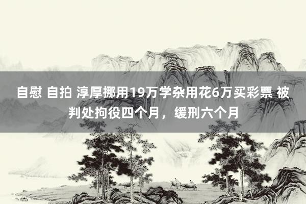 自慰 自拍 淳厚挪用19万学杂用花6万买彩票 被判处拘役四个月，缓刑六个月