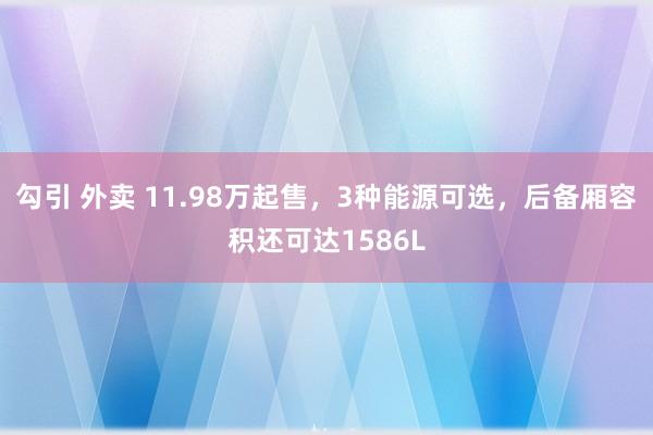 勾引 外卖 11.98万起售，3种能源可选，后备厢容积还可达1586L