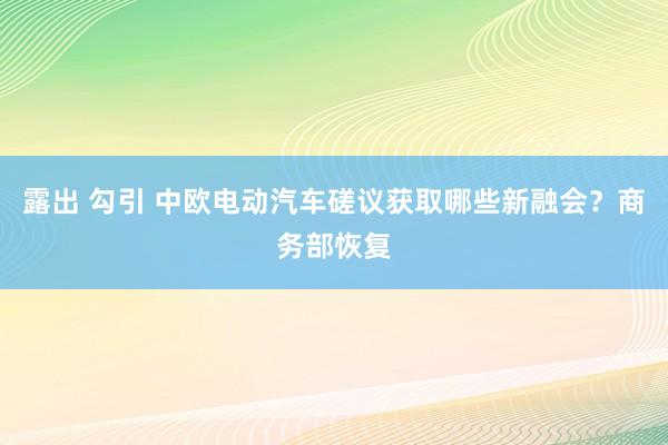 露出 勾引 中欧电动汽车磋议获取哪些新融会？商务部恢复