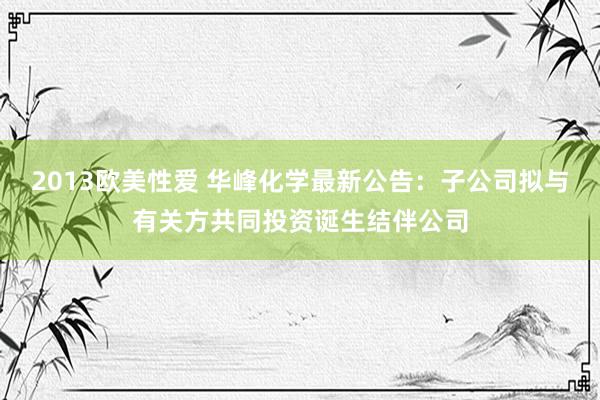 2013欧美性爱 华峰化学最新公告：子公司拟与有关方共同投资诞生结伴公司