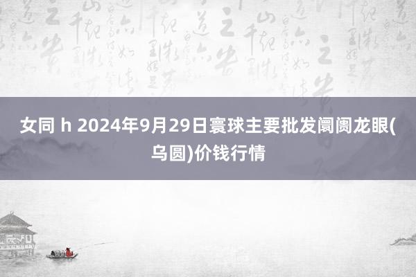 女同 h 2024年9月29日寰球主要批发阛阓龙眼(乌圆)价钱行情