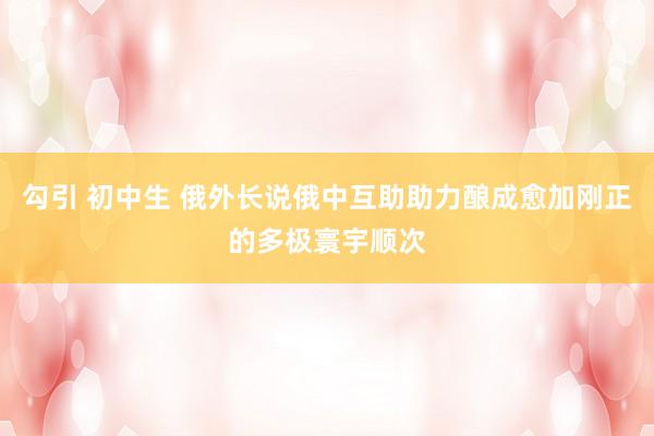 勾引 初中生 俄外长说俄中互助助力酿成愈加刚正的多极寰宇顺次