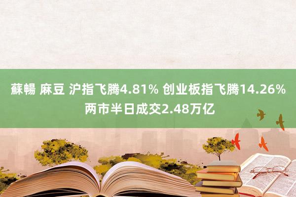 蘇暢 麻豆 沪指飞腾4.81% 创业板指飞腾14.26% 两市半日成交2.48万亿