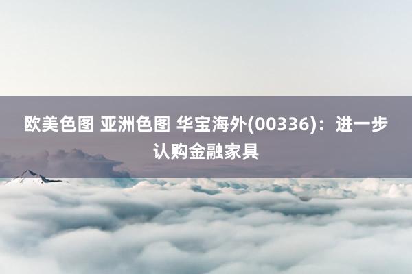 欧美色图 亚洲色图 华宝海外(00336)：进一步认购金融家具