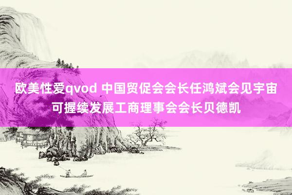 欧美性爱qvod 中国贸促会会长任鸿斌会见宇宙可握续发展工商理事会会长贝德凯