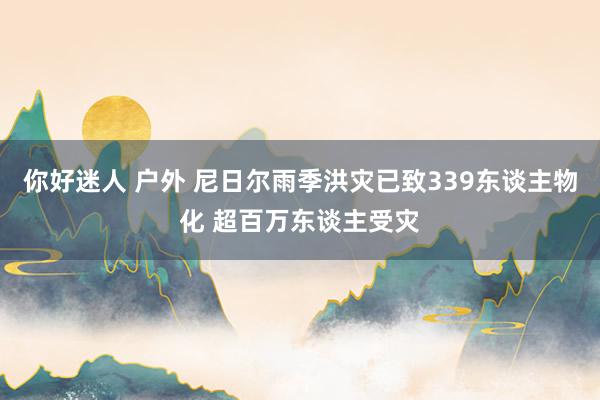 你好迷人 户外 尼日尔雨季洪灾已致339东谈主物化 超百万东谈主受灾