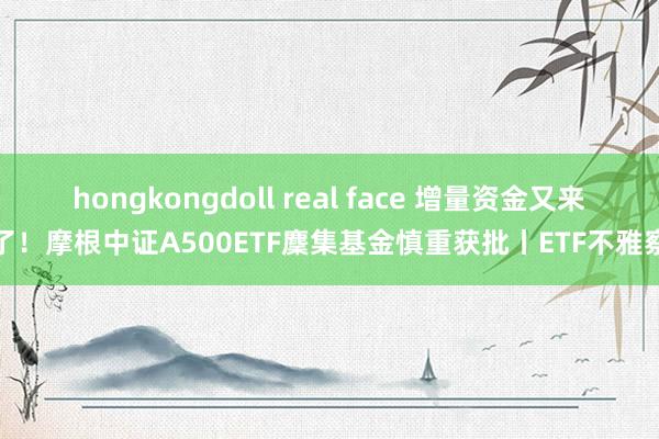 hongkongdoll real face 增量资金又来了！摩根中证A500ETF麇集基金慎重获批丨ETF不雅察