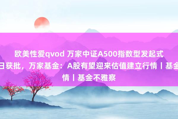 欧美性爱qvod 万家中证A500指数型发起式基金本日获批，万家基金：A股有望迎来估值建立行情丨基金不雅察