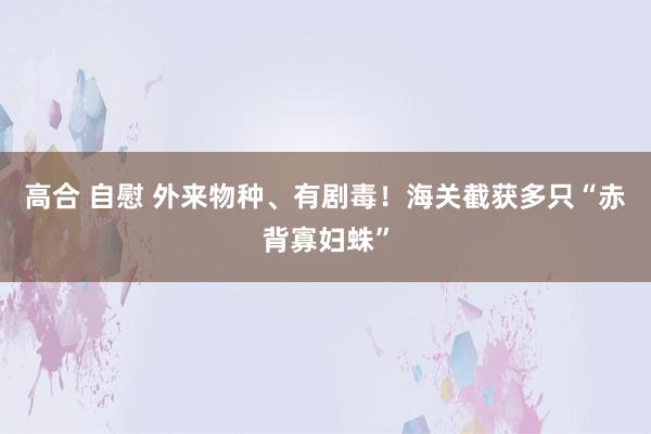 高合 自慰 外来物种、有剧毒！海关截获多只“赤背寡妇蛛”