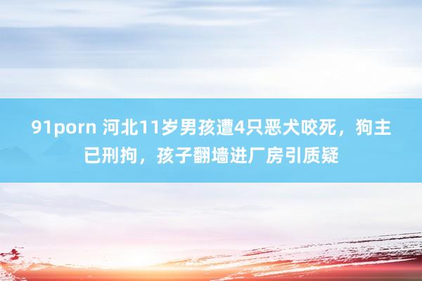 91porn 河北11岁男孩遭4只恶犬咬死，狗主已刑拘，孩子翻墙进厂房引质疑