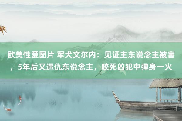 欧美性爱图片 军犬文尔内：见证主东说念主被害，5年后又遇仇东说念主，咬死凶犯中弹身一火