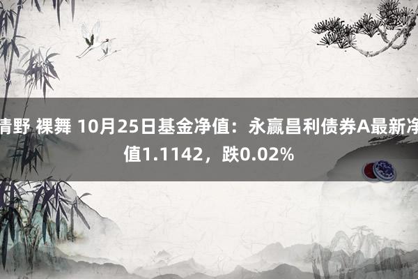 清野 裸舞 10月25日基金净值：永赢昌利债券A最新净值1.1142，跌0.02%