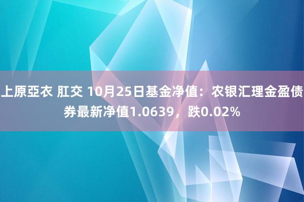 上原亞衣 肛交 10月25日基金净值：农银汇理金盈债券最新净值1.0639，跌0.02%