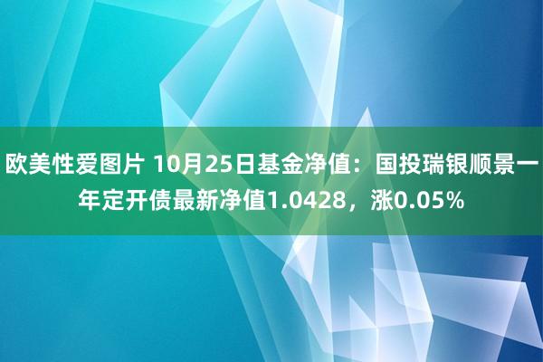 欧美性爱图片 10月25日基金净值：国投瑞银顺景一年定开债最新净值1.0428，涨0.05%