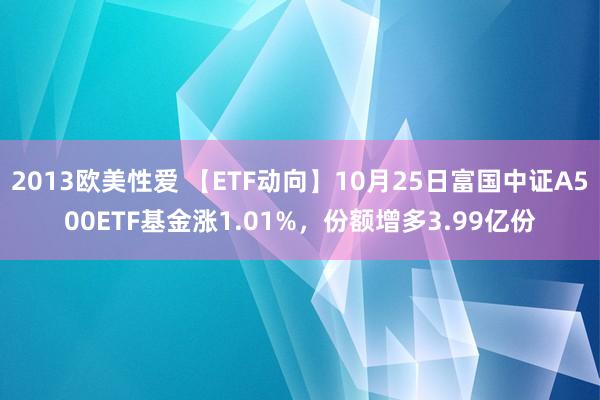 2013欧美性爱 【ETF动向】10月25日富国中证A500ETF基金涨1.01%，份额增多3.99亿份