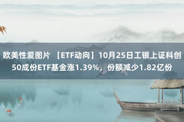 欧美性爱图片 【ETF动向】10月25日工银上证科创50成份ETF基金涨1.39%，份额减少1.82亿份