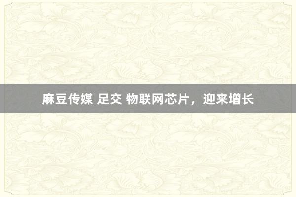 麻豆传媒 足交 物联网芯片，迎来增长