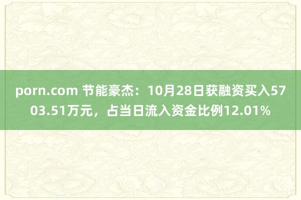 porn.com 节能豪杰：10月28日获融资买入5703.51万元，占当日流入资金比例12.01%