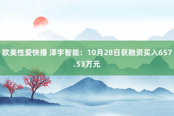 欧美性爱快播 泽宇智能：10月28日获融资买入657.53万元