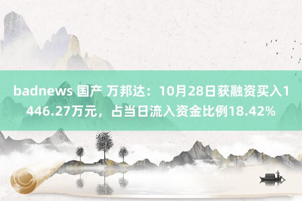 badnews 国产 万邦达：10月28日获融资买入1446.27万元，占当日流入资金比例18.42%