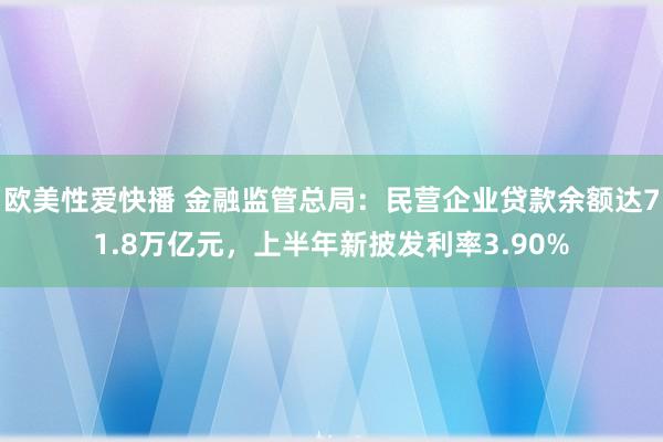 欧美性爱快播 金融监管总局：民营企业贷款余额达71.8万亿元，上半年新披发利率3.90%