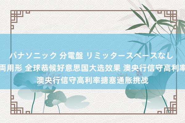 パナソニック 分電盤 リミッタースペースなし 露出・半埋込両用形 全球恭候好意思国大选效果 澳央行信守高利率搪塞通胀挑战