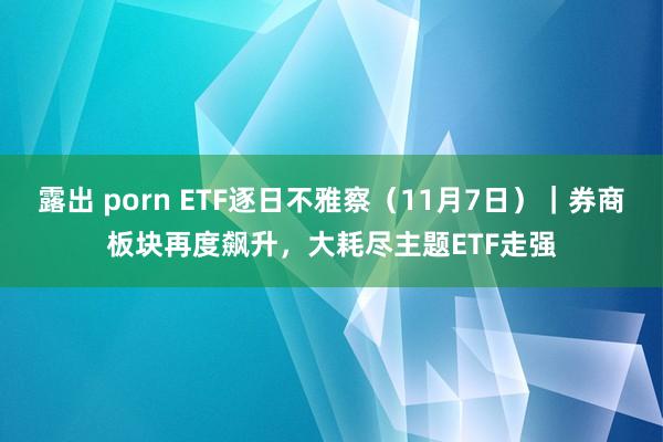 露出 porn ETF逐日不雅察（11月7日）｜券商板块再度飙升，大耗尽主题ETF走强