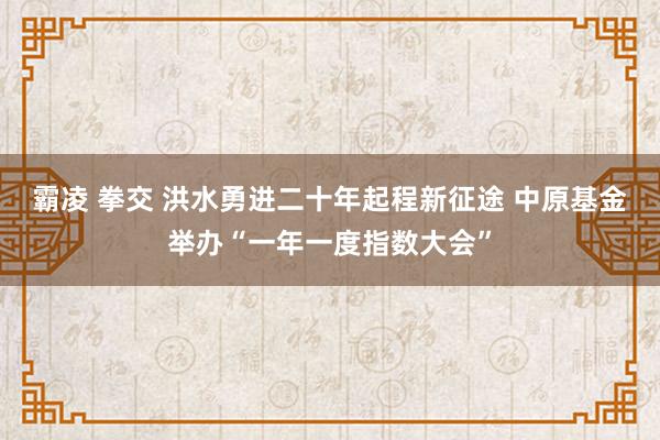 霸凌 拳交 洪水勇进二十年起程新征途 中原基金举办“一年一度指数大会”