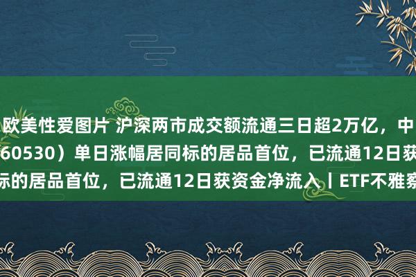 欧美性爱图片 沪深两市成交额流通三日超2万亿，中证A500ETF摩根（560530）单日涨幅居同标的居品首位，已流通12日获资金净流入丨ETF不雅察